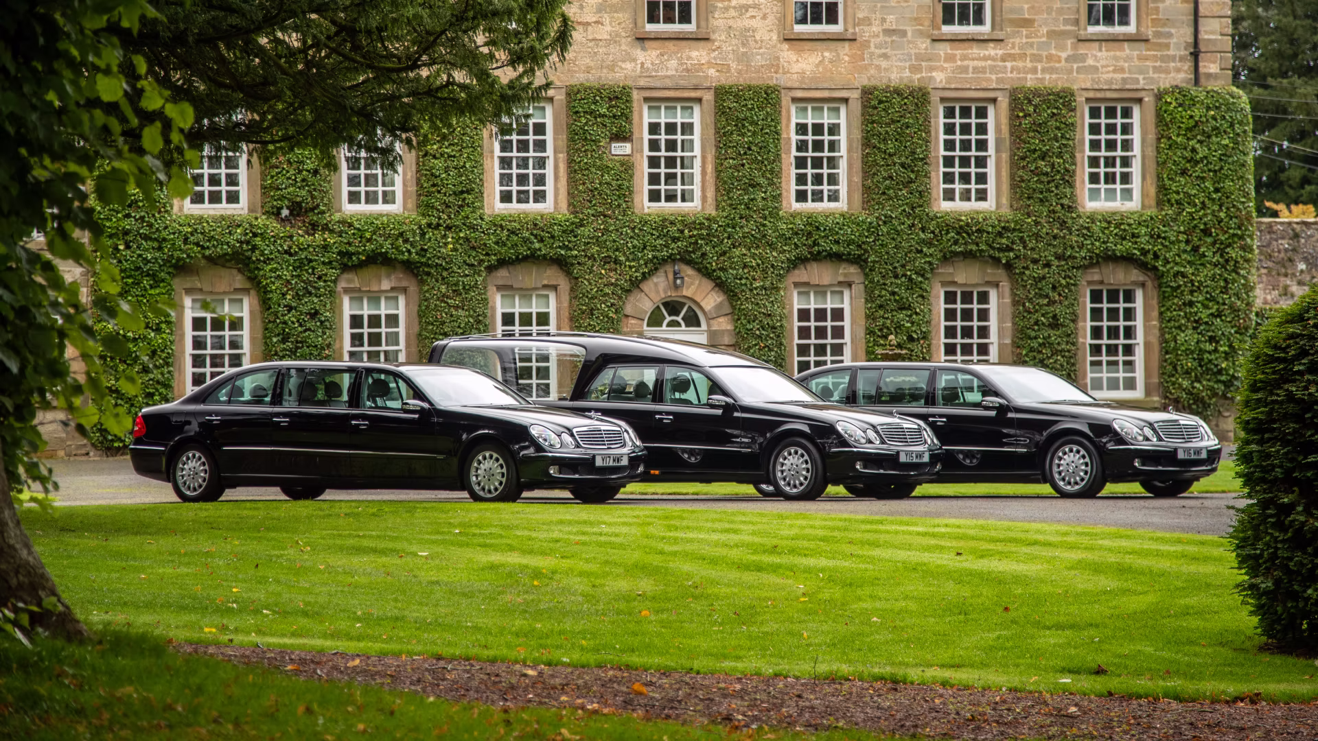 Hero background image