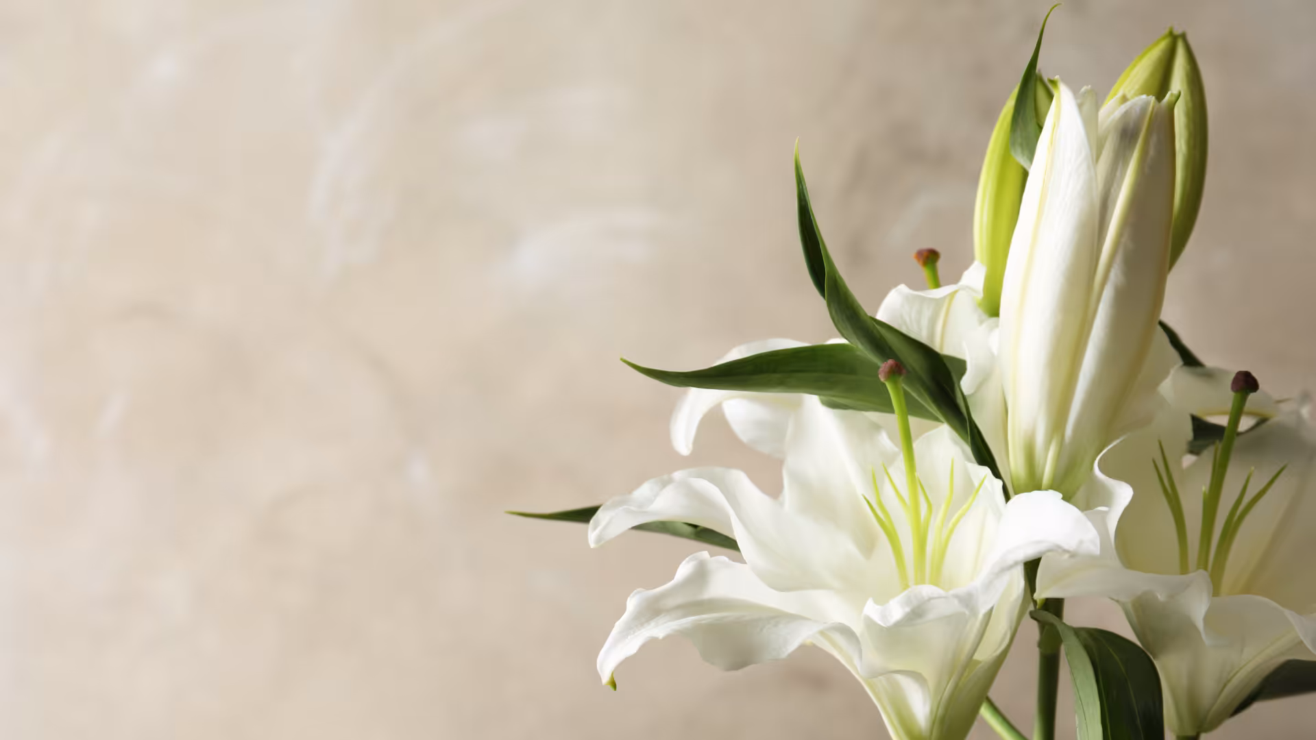 Hero background image